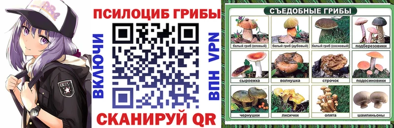 Псилоцибиновые грибы мицелий  где можно купить   Евпатория 