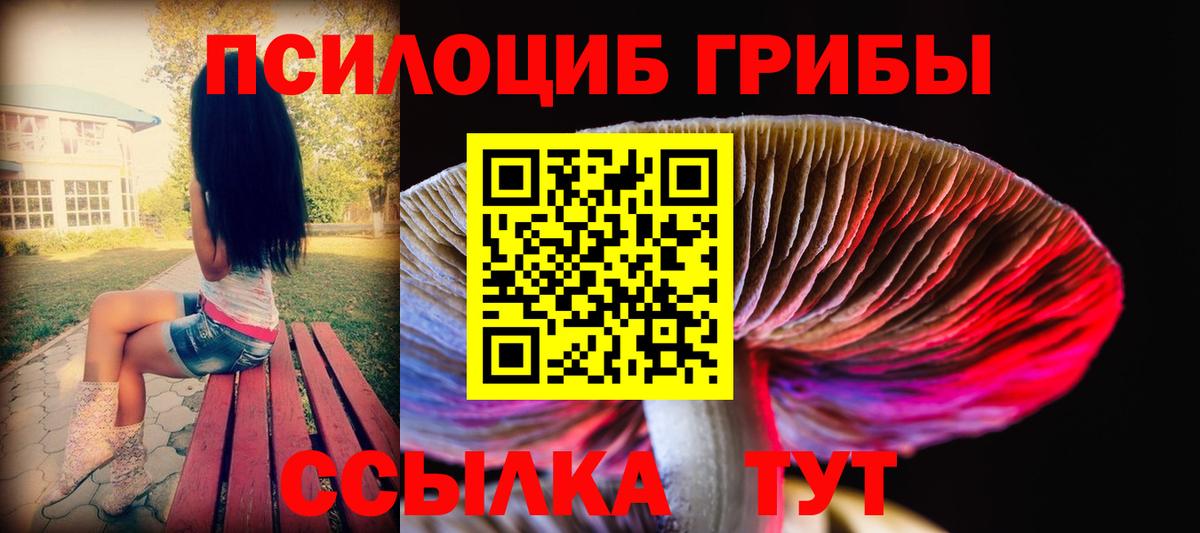 Галлюциногенные грибы мицелий Евпатория